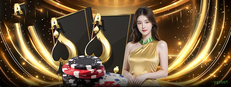 Programa VIP exclusivo da pgzbet
